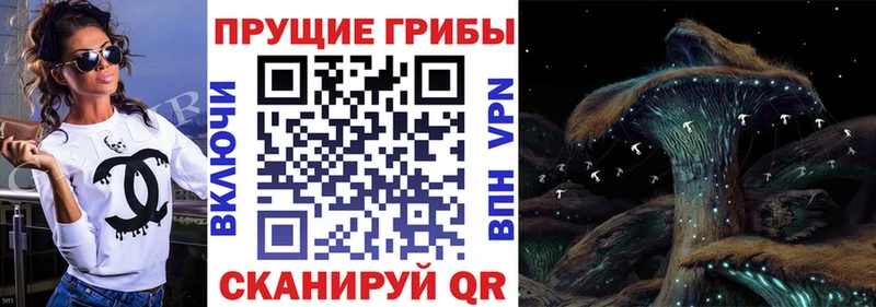 Галлюциногенные грибы GOLDEN TEACHER  Ивангород 